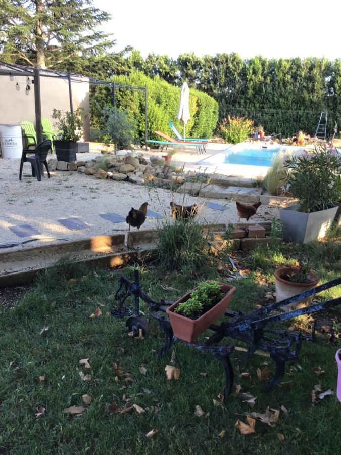 Partie De Mas En Campagne Apartment Cavaillon